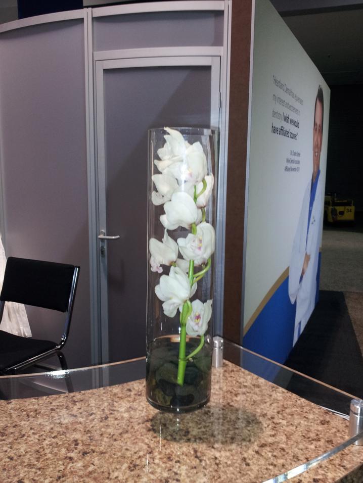 White Orchid in a glass cylinder