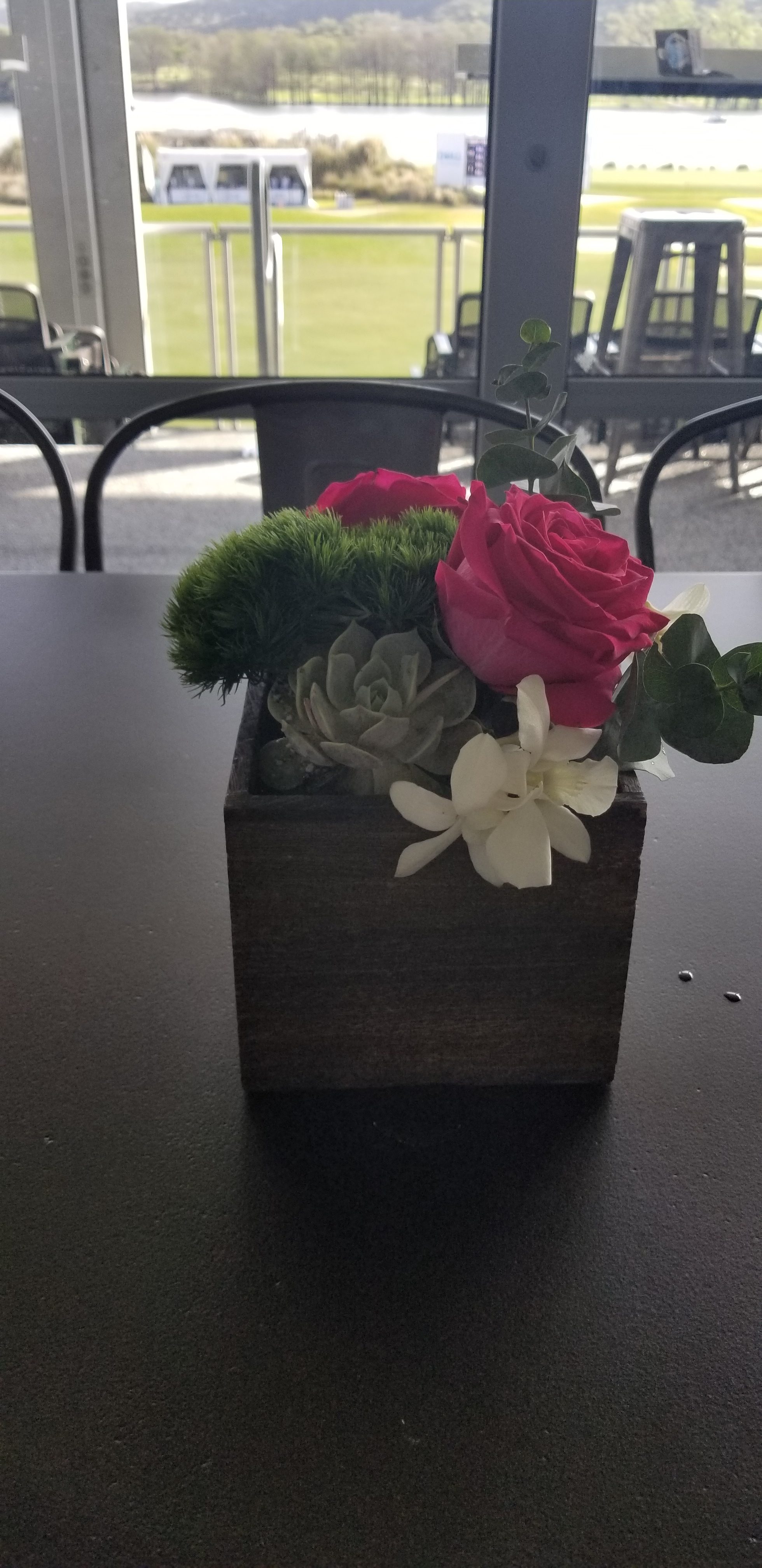 Rose and succulent arrangement