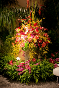 Colorful flowers back-lit to light up