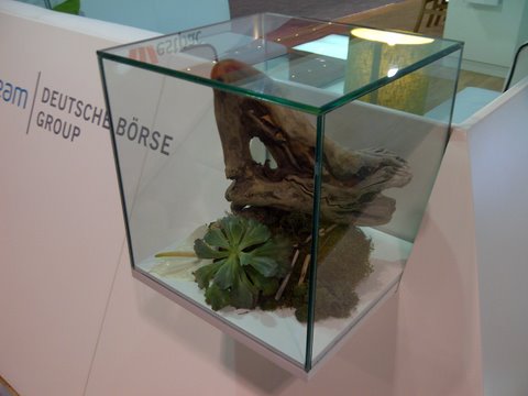 plants in a glass cube