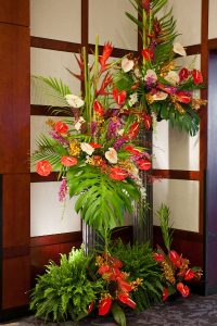 Red, white, and purple flowers amid large leaves