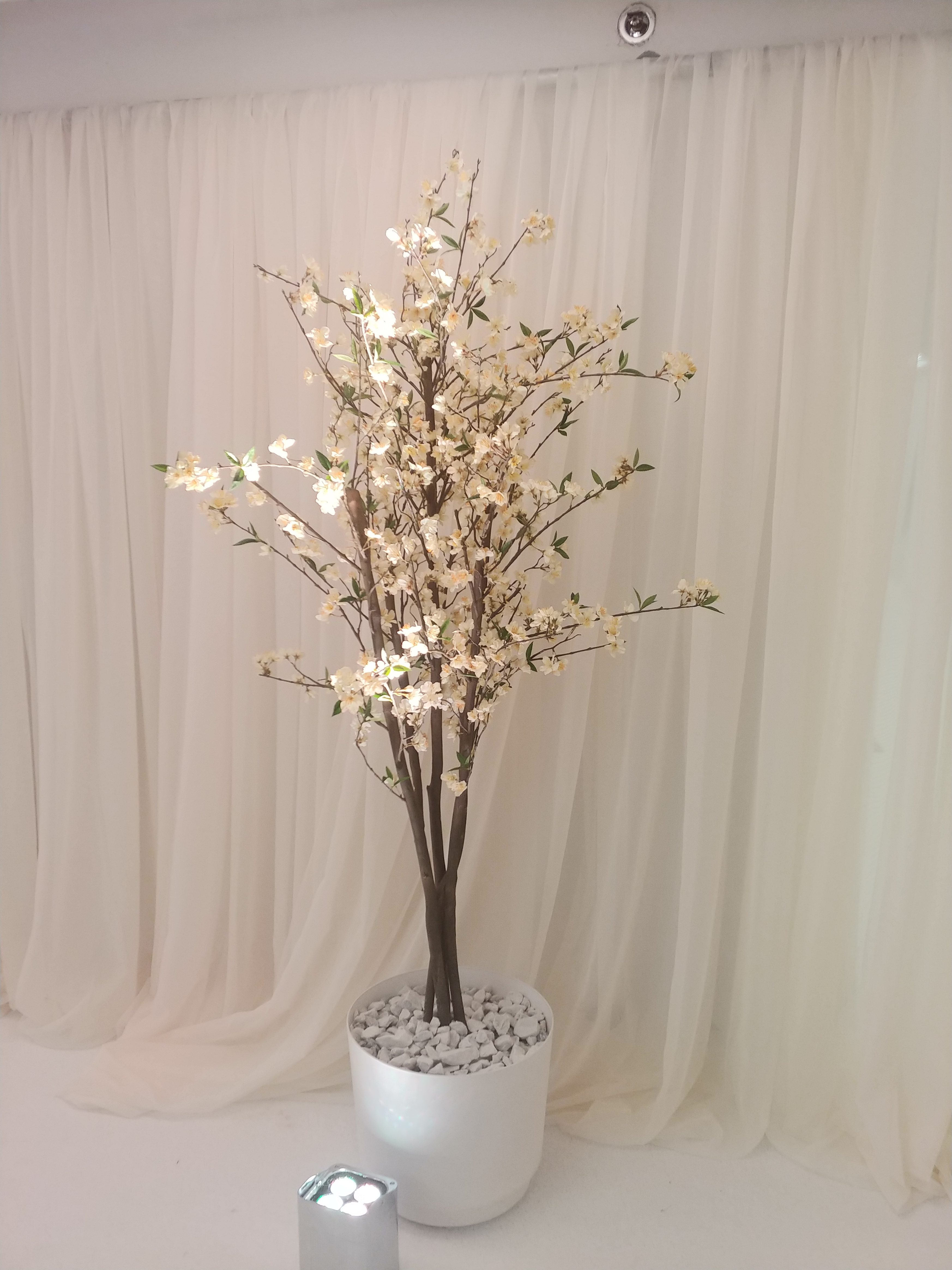 White floral tree
